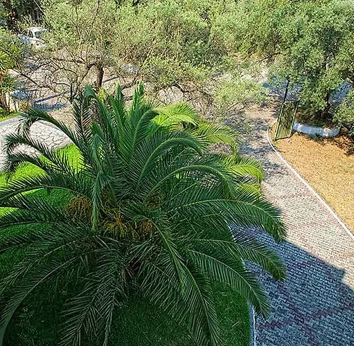 Lägenhet Thalero Holidays Center *