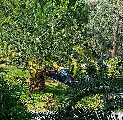 Lägenhet Thalero Holidays Center *